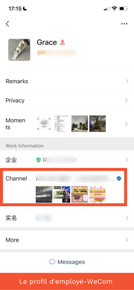 picture6 channel